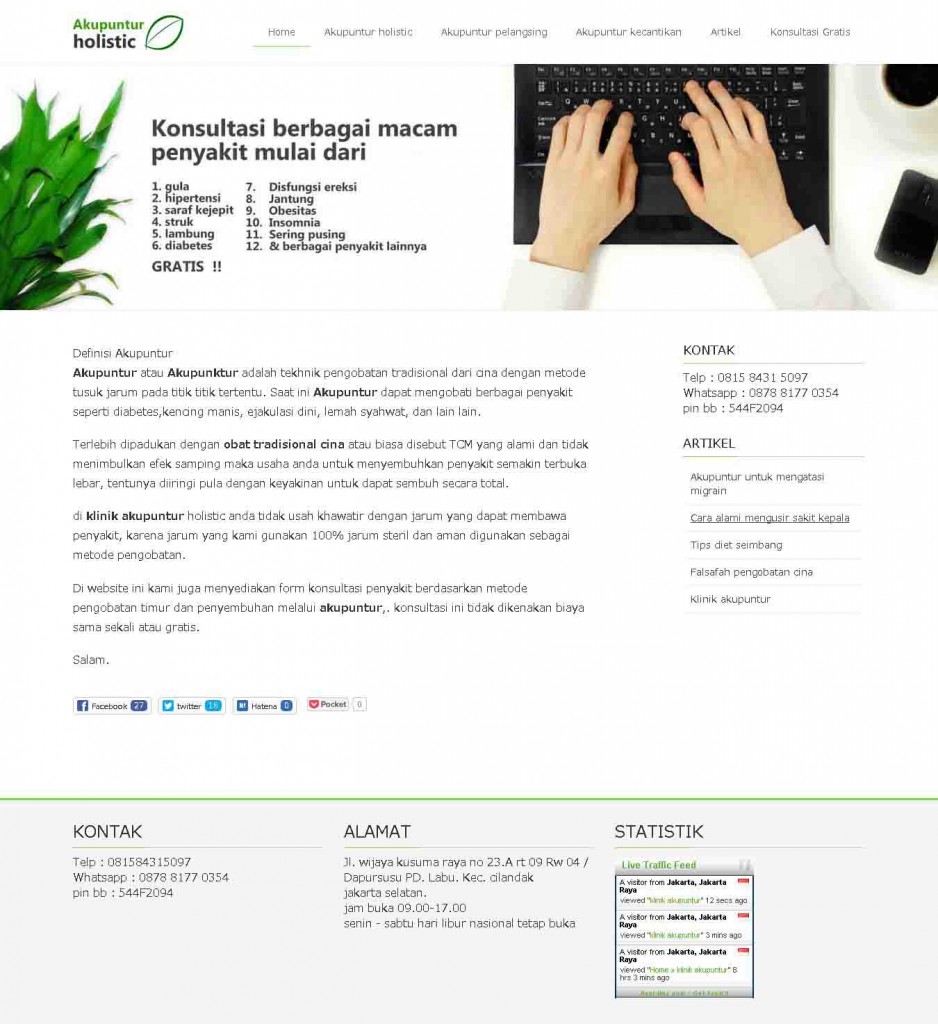 Akupunturholisticnet