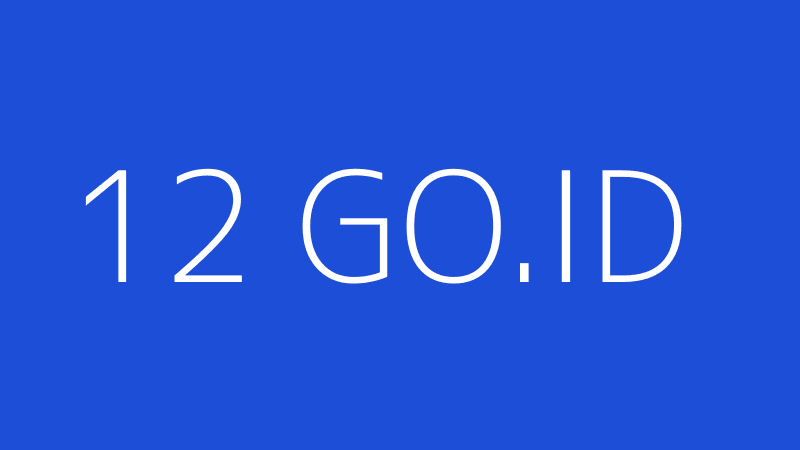 12 GO.ID