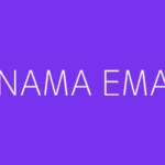 13 NAMA EMAIL